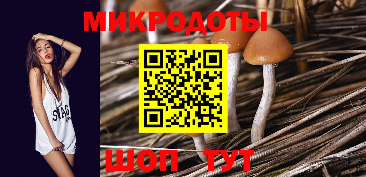Галлюциногенные грибы мухоморы Сургут